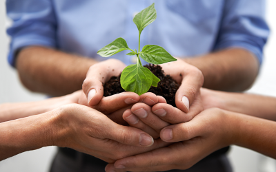 Bridging the Development Gap: Strategies for Empowering Teams