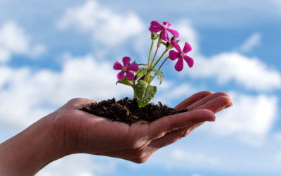 Leading with Love: The Power of Consistent Support and Development in Nurturing Employee Growth 